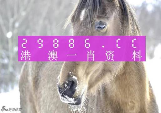 澳門一肖一碼100%準(zhǔn)確?,澳門一肖一碼，揭秘所謂的100%準(zhǔn)確預(yù)測背后的真相