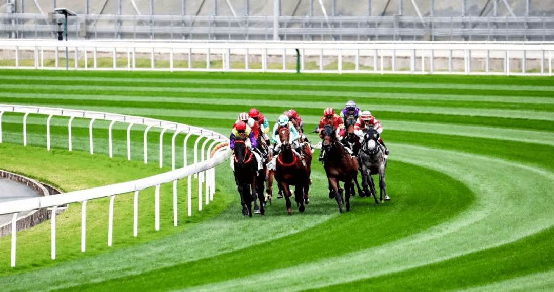 930香港馬精準(zhǔn)資料,香港賽馬精準(zhǔn)資料，探索930賽事的奧秘