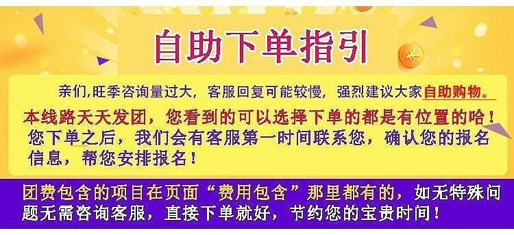 澳門天天開好彩大全53期,澳門天天開好彩，揭示背后的犯罪問題及其影響