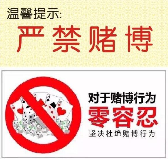 澳門今晚必開一肖1,澳門今晚必開一肖——警惕賭博犯罪風(fēng)險(xiǎn)