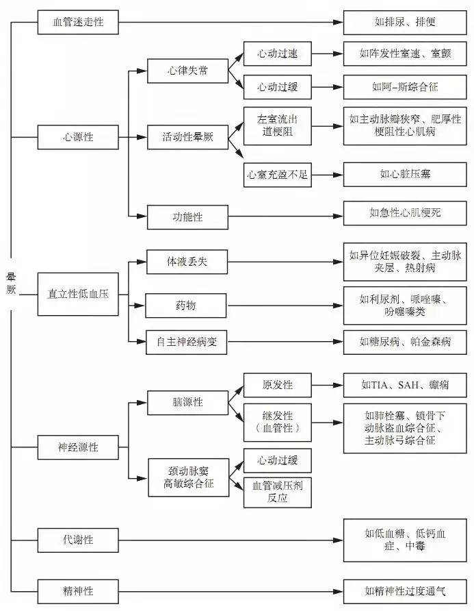 777778888王中王最新,探索數(shù)字背后的秘密，揭秘王中王最新與777778888背后的故事