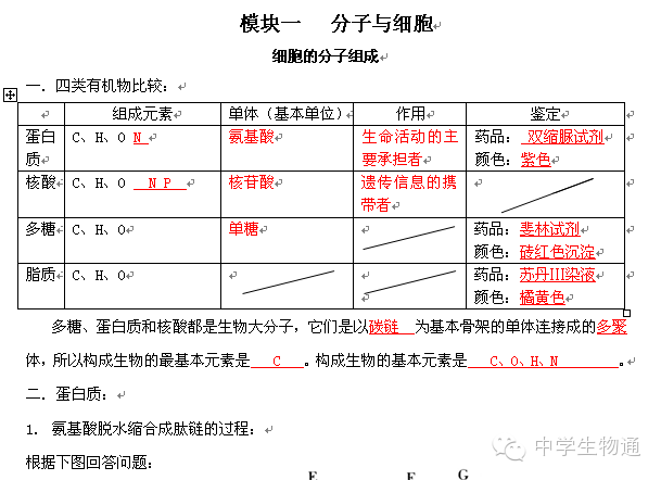 二四六港澳資料免費大全,二四六港澳資料免費大全，探索與獲取信息的指南