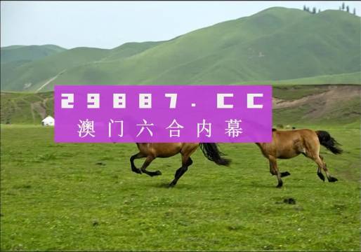 7777788888跑狗論壇資料,探索跑狗論壇資料，數(shù)字組合的魅力與策略分享