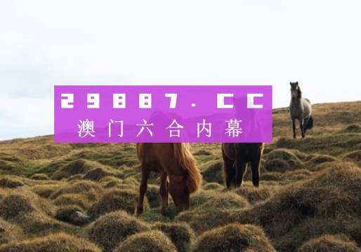 澳門六開獎結(jié)果2023開獎記錄查詢網(wǎng)站,澳門六開獎結(jié)果2023開獎記錄查詢網(wǎng)站，探索與解析