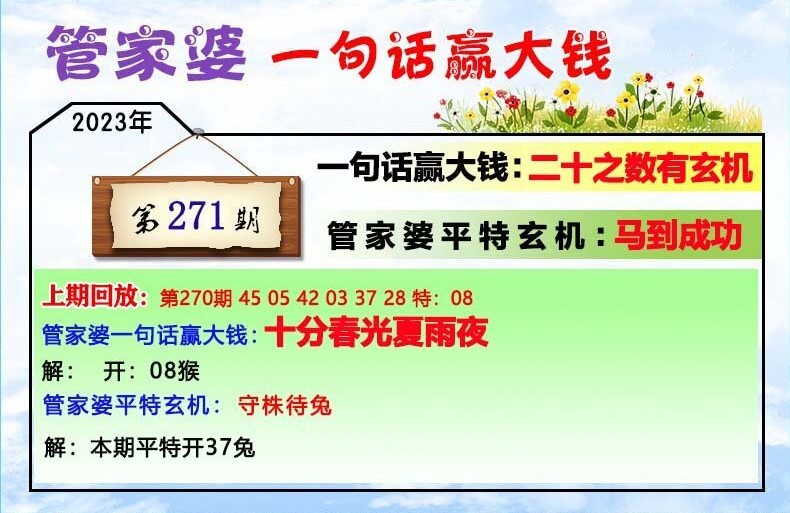 澳門一肖一碼100管家婆9995,澳門一肖一碼與管家婆9995，探索與解析