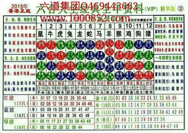 2024十二生肖49碼表,揭秘2024十二生肖與數(shù)字彩票的奇妙結(jié)合——十二生肖49碼表詳解