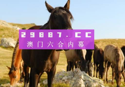 今晚澳門(mén)馬出什么特馬,今晚澳門(mén)馬出什么特馬，探索賽馬世界的神秘面紗