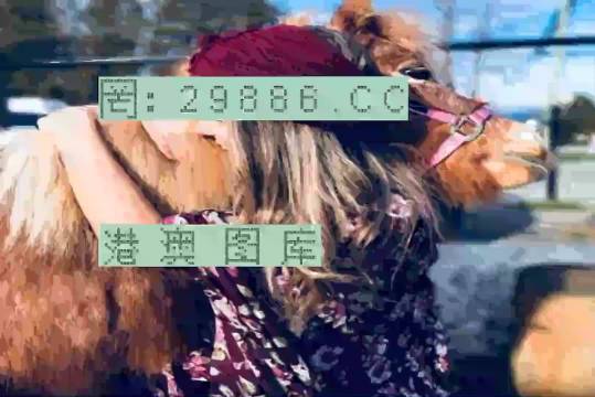 7777788888跑狗論壇資料,探索跑狗論壇，揭秘?cái)?shù)字組合77777與88888的魅力世界