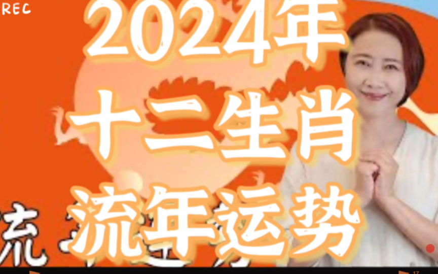 管家婆一碼中一肖2024年,管家婆的神秘預(yù)測(cè)，一碼中定，揭秘生肖運(yùn)勢(shì)2024年