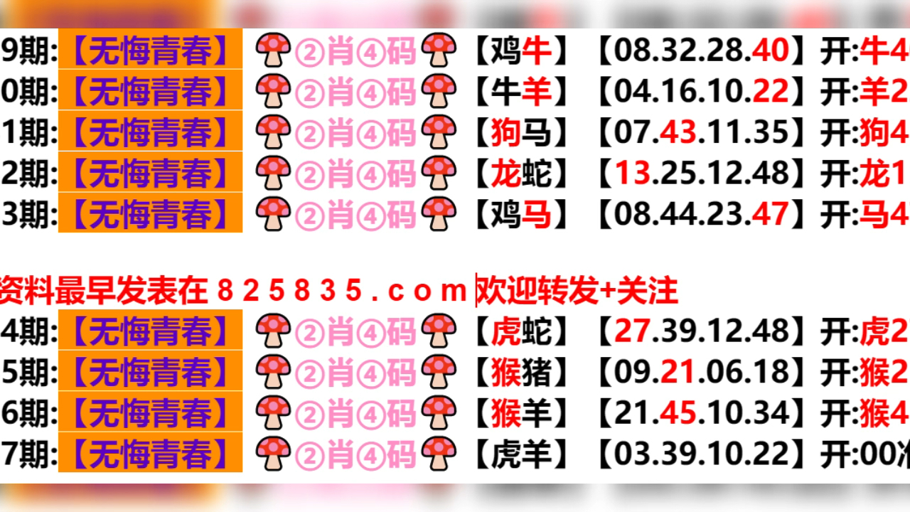 2024新奧門(mén)天天開(kāi)好彩大全85期,探索新奧門(mén)，2024年天天開(kāi)好彩的奧秘與期待