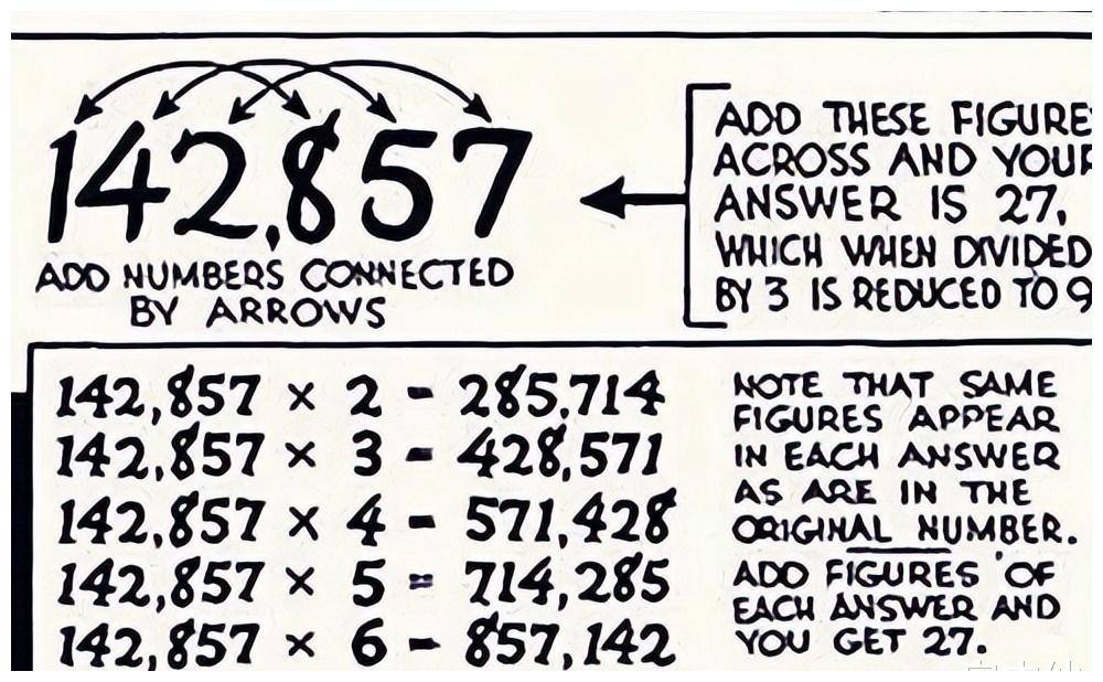 7777788888新奧門,探索新奧門，數(shù)字77777與88888的象征意義