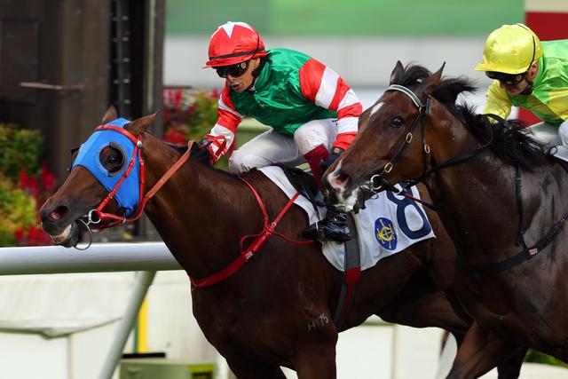 新澳今天開什么特馬,新澳今日賽馬盛況，探尋特馬競技的魅力