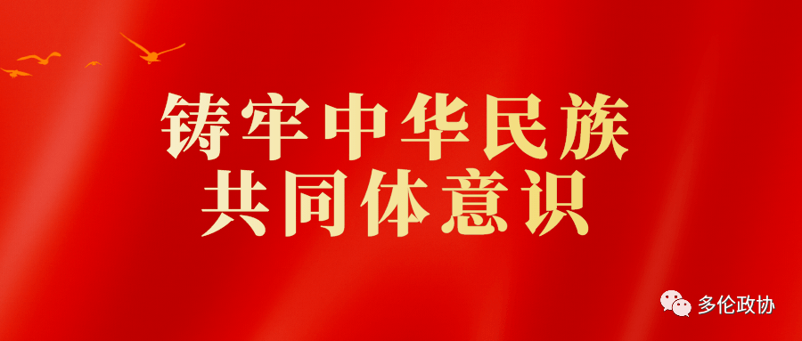 澳門正版資料大全資料貧無擔石,澳門正版資料大全與擔當精神的探索