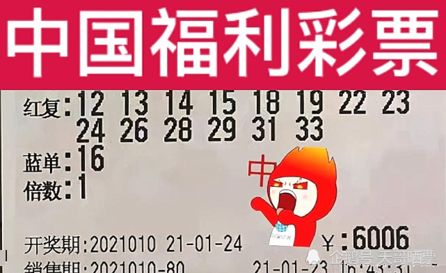 新澳2024今晚開獎結(jié)果,新澳2024今晚開獎結(jié)果，期待與驚喜交織的盛宴