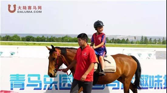 新澳今天開(kāi)什么特馬,新澳今日賽馬結(jié)果揭秘，探尋特馬的勝利之路