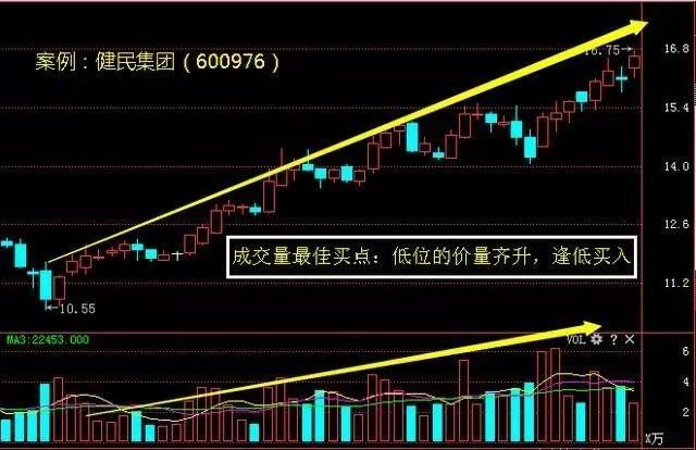 香港今晚開特馬 開獎結(jié)果66期,香港今晚開特馬，第66期開獎結(jié)果的期待與探索