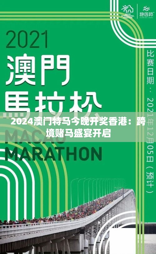 2024年澳門特馬今晚,探索澳門特馬的世界，2024年的今晚展望