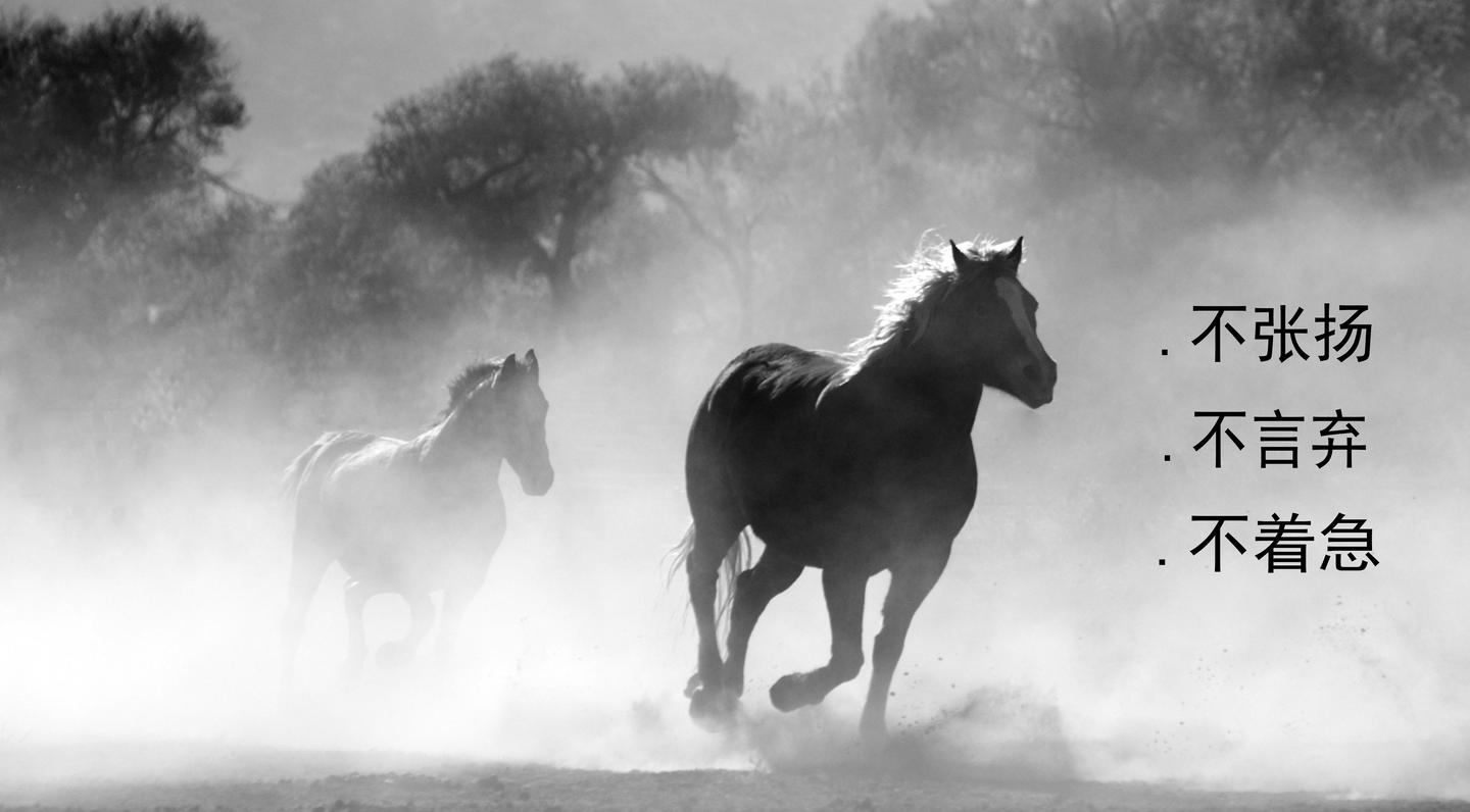 今晚澳門馬出什么特馬,今晚澳門馬會(huì)出哪些特馬？探索馬會(huì)神秘面紗下的秘密