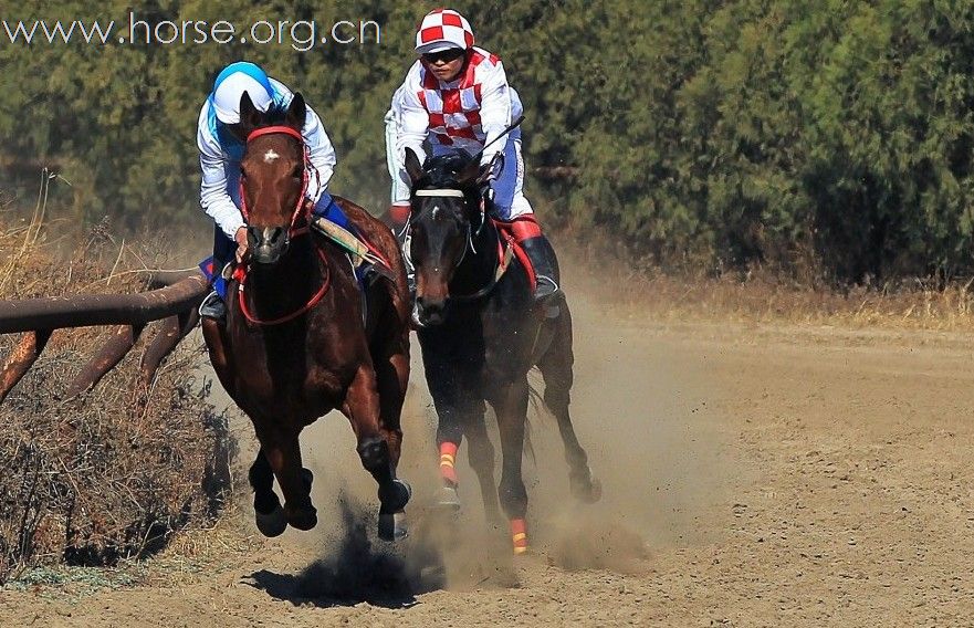 馬會(huì)香港7777788888,馬會(huì)香港，探索賽馬運(yùn)動(dòng)的魅力與傳奇故事