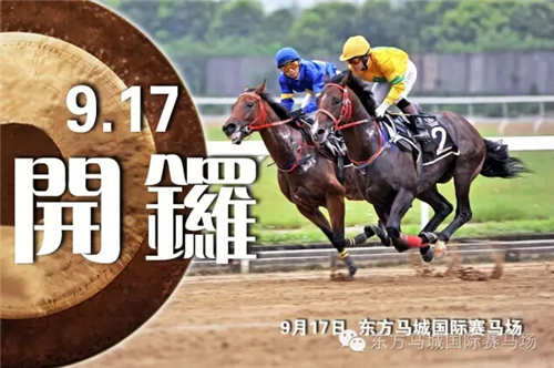 澳門今天晚上特馬開什么,澳門今晚特馬開什么，探索與解讀賽馬文化背后的秘密