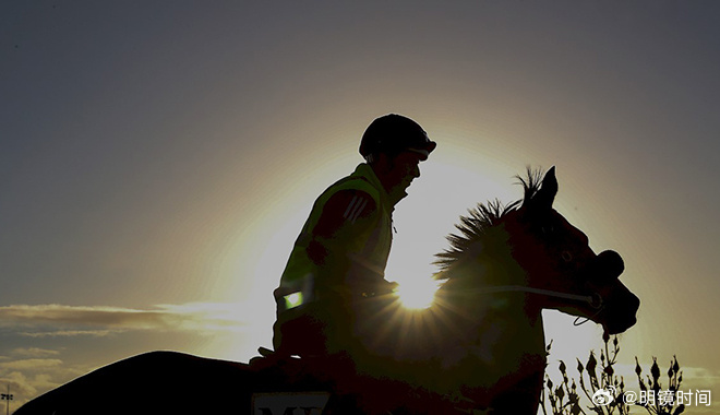 澳門特馬今期開獎結果2024年記錄,澳門特馬今期開獎結果及未來展望，記錄與展望至2024年