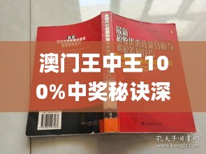 澳門王中王100期期中一期林,澳門王中王100期期中一期林，探索與解析