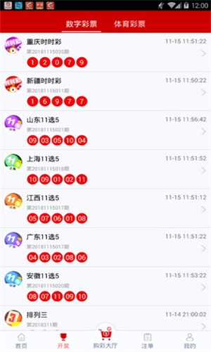 白小姐一碼一肖100準(zhǔn)確,白小姐一碼一肖，揭秘100%準(zhǔn)確的預(yù)測(cè)背后的秘密