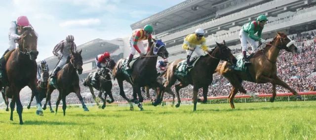 香港今晚開什么特馬,香港今晚開什么特馬，探索賽馬文化背后的故事