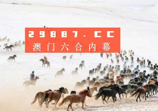 4949澳門特馬今晚開獎53期,澳門特馬第53期開獎揭曉，4949的魅力與期待