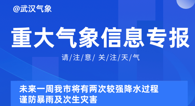 2025新奧資料免費(fèi)精準(zhǔn)051,探索未來，2025新奧資料的免費(fèi)精準(zhǔn)共享