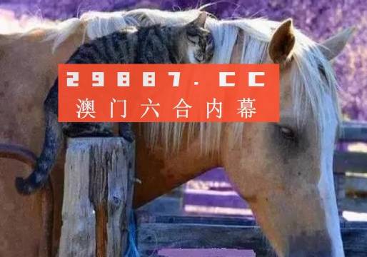 奧門全年資料免費大全一,澳門全年資料免費大全一，深度解讀與探索