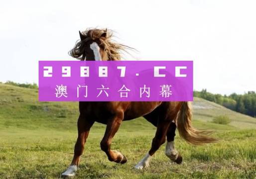 澳門六開獎(jiǎng)結(jié)果2023開獎(jiǎng)記錄查詢網(wǎng)站,澳門六開獎(jiǎng)結(jié)果2023開獎(jiǎng)記錄查詢網(wǎng)站，探索與解析