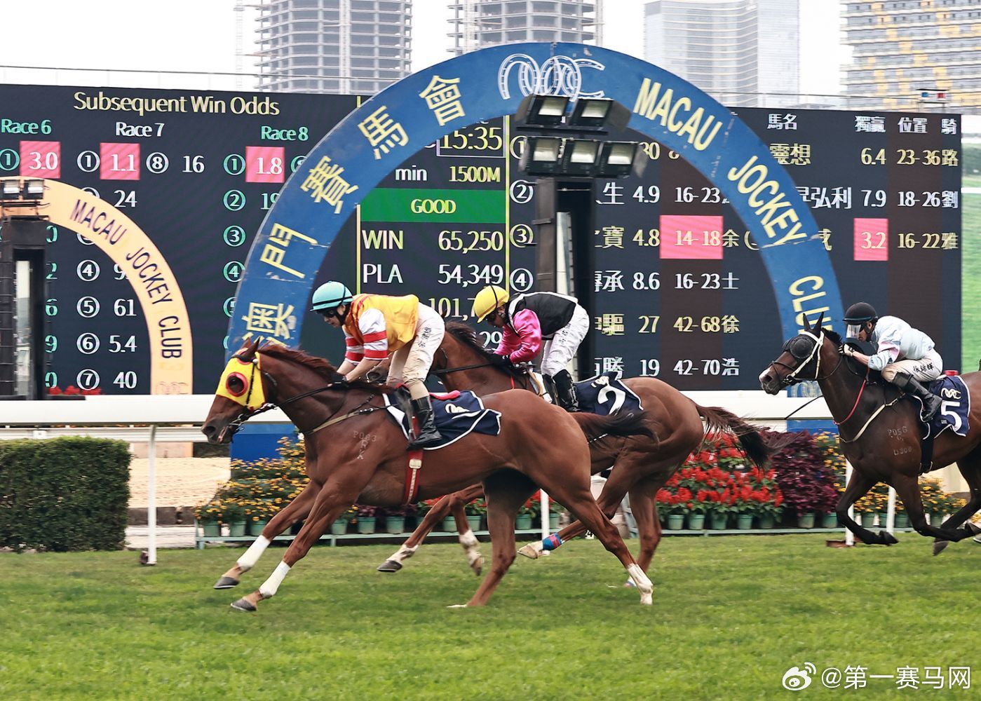 今晚澳門馬出什么特馬,今晚澳門馬出什么特馬，探索澳門賽馬世界的神秘面紗